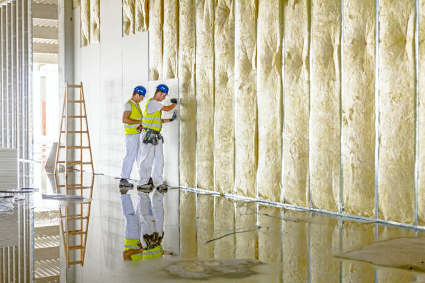 Best Commercial Insulation Services  in Lodi, WI